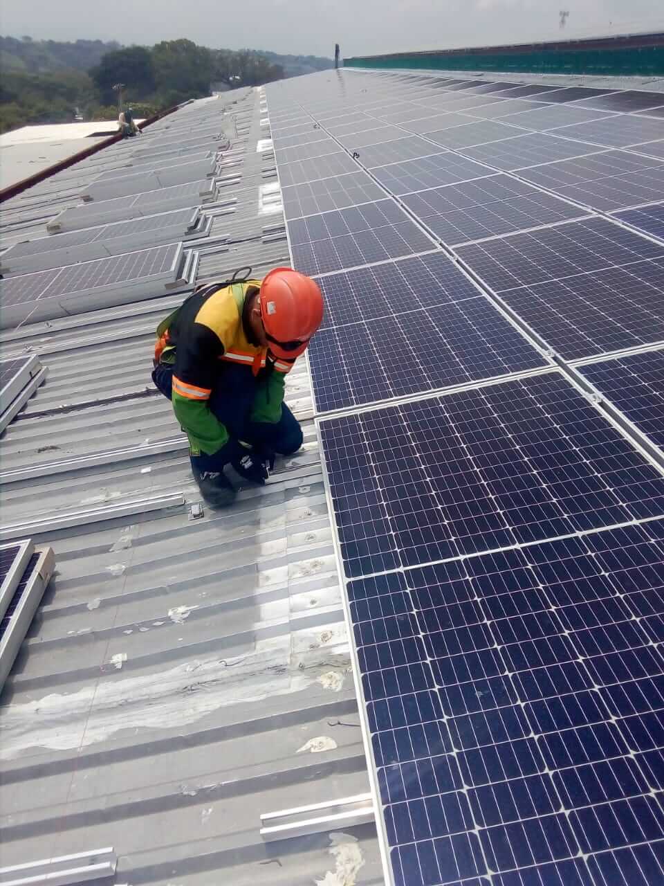 whatsapp image 2025 10 21 at 3.48.36 pm