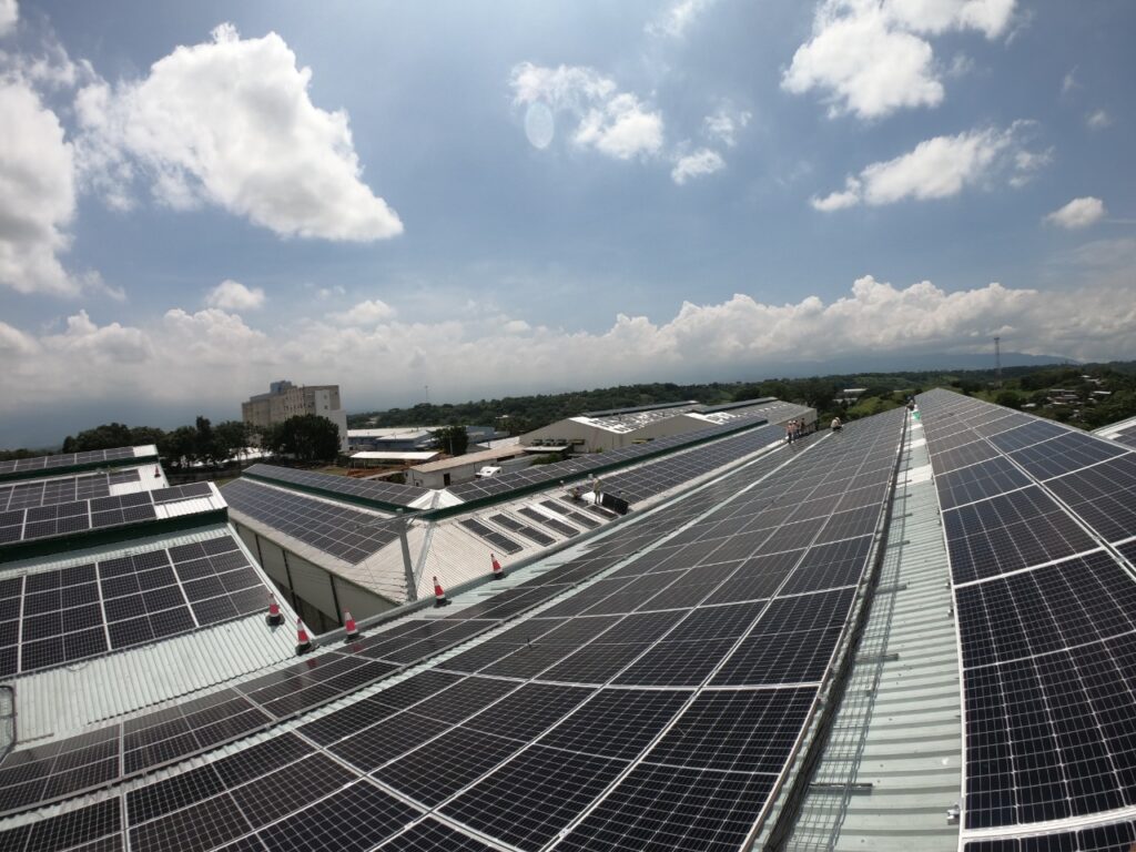 whatsapp image 2025 10 21 at 3.48.39 pm